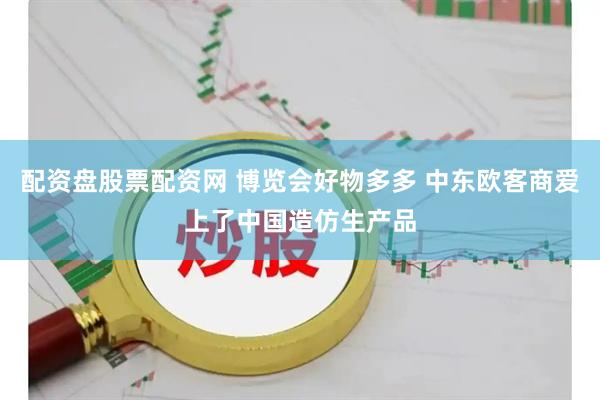 配资盘股票配资网 博览会好物多多 中东欧客商爱上了中国造仿生产品