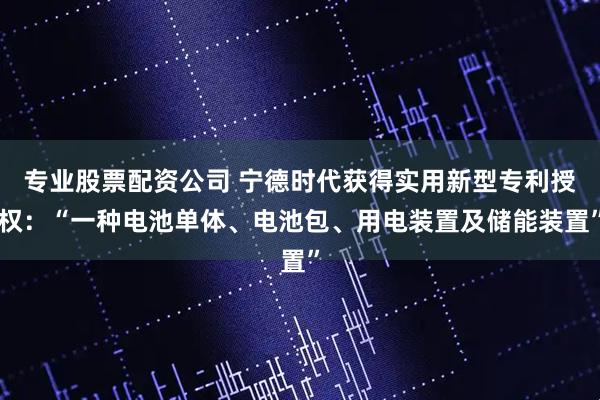 专业股票配资公司 宁德时代获得实用新型专利授权：“一种电池单体、电池包、用电装置及储能装置”